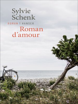 cover image of Roman d'amour